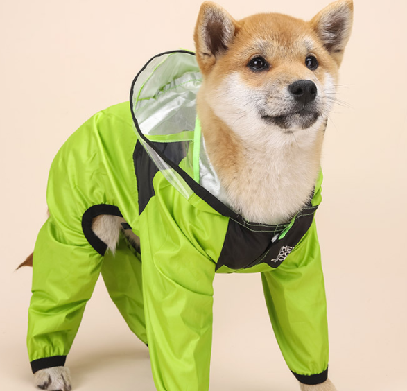 Four seasons universal pet raincoat raincoat manufacturers