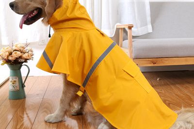 pet raincoat 400