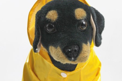 pet raincoat 400