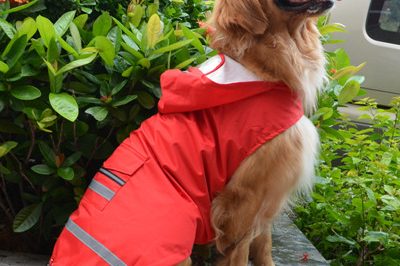 pet raincoat 400
