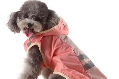 pet raincoat 400