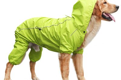 pet raincoat 400