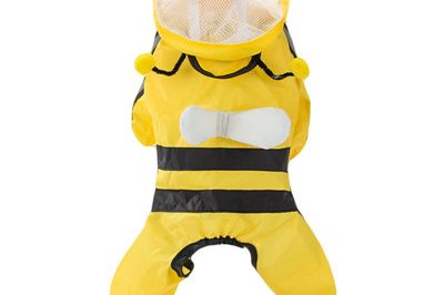 pet raincoat 400
