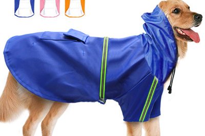 pet raincoat 400
