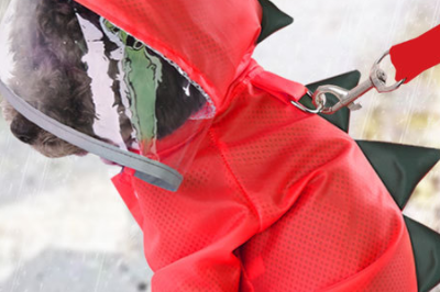 pet raincoat 400