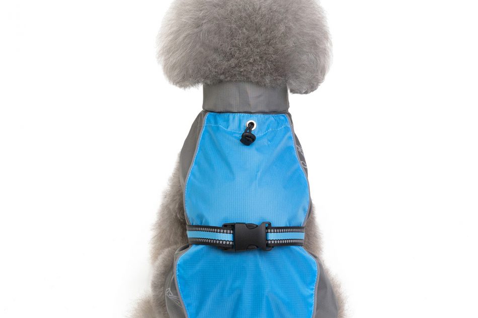 pet raincoat (6)
