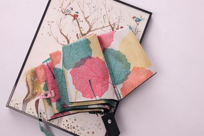 umbrella (5)